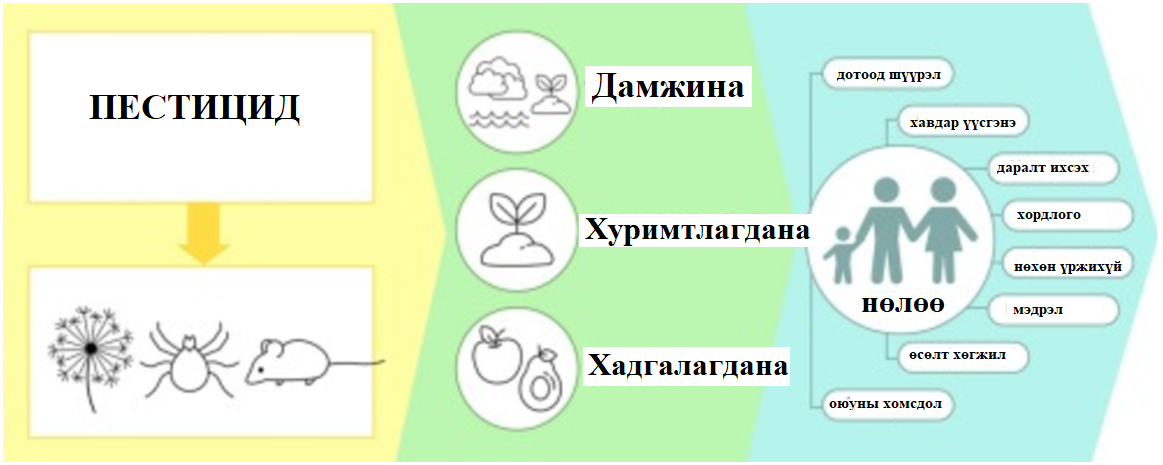 Мэдлээ | Цахим контент
